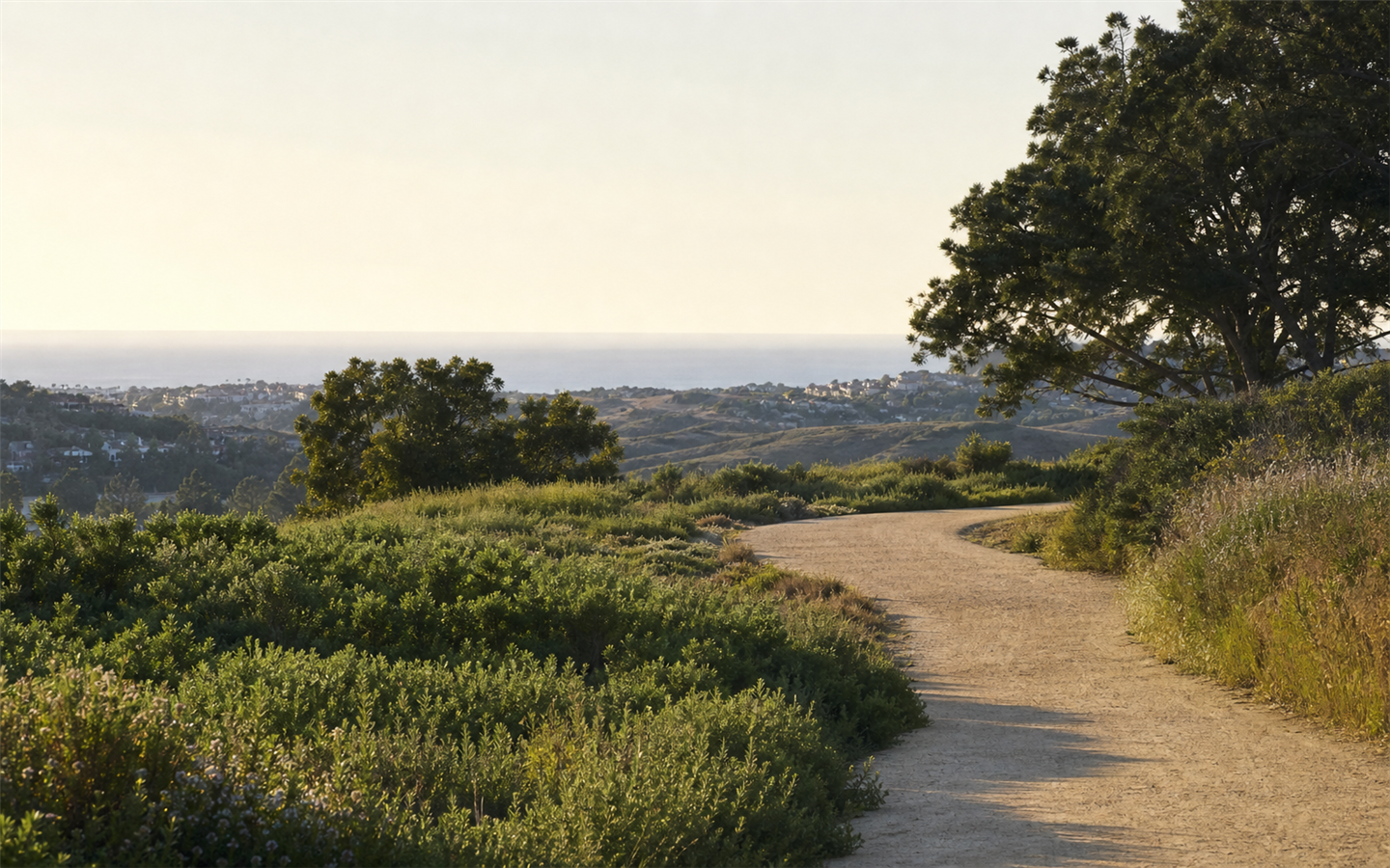 An original coastal California scene suggesting Aliso Viejo’s newer neighborhoods and open hillsides