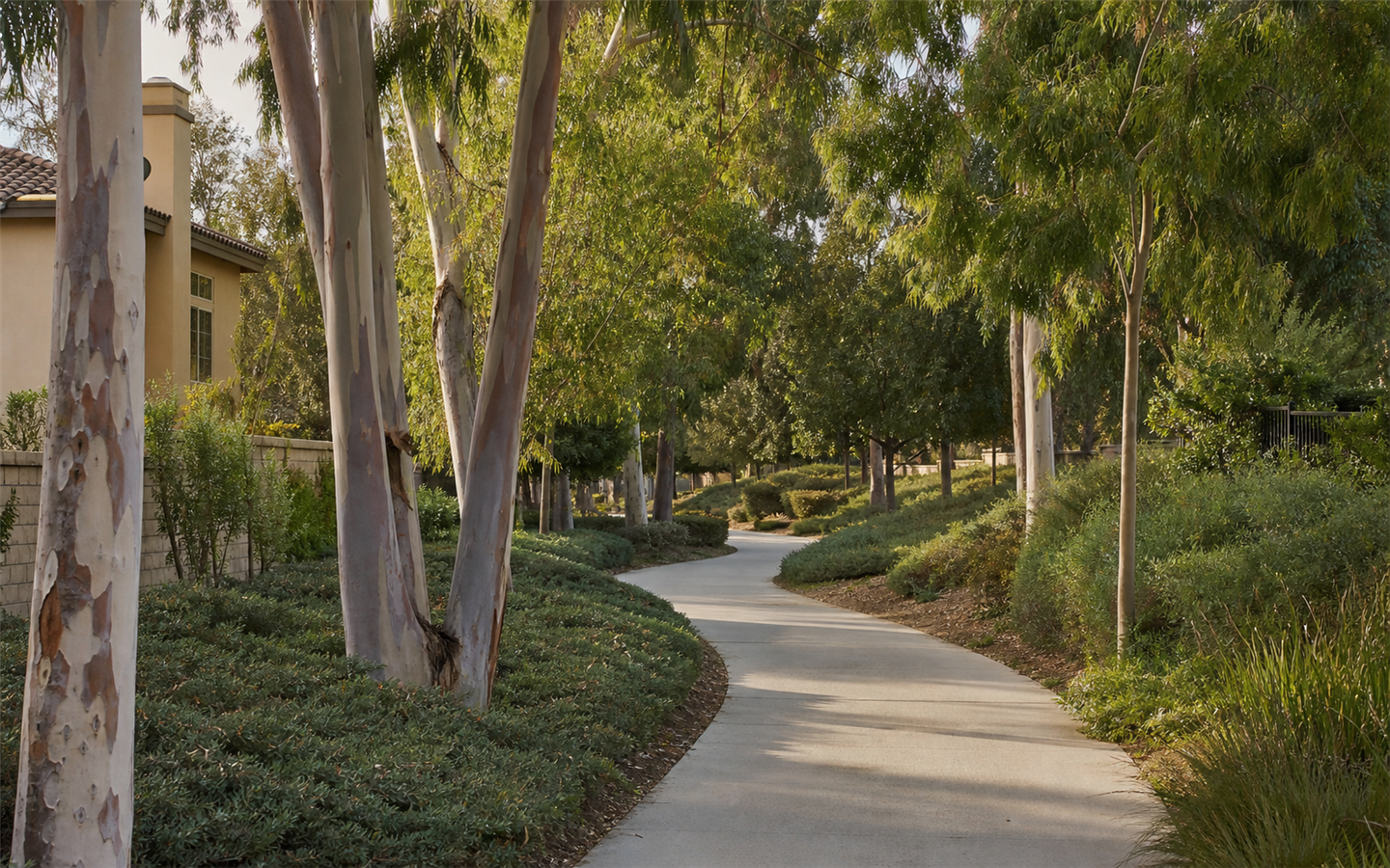 An original coastal California scene suggesting Irvine’s planned neighborhoods and open space