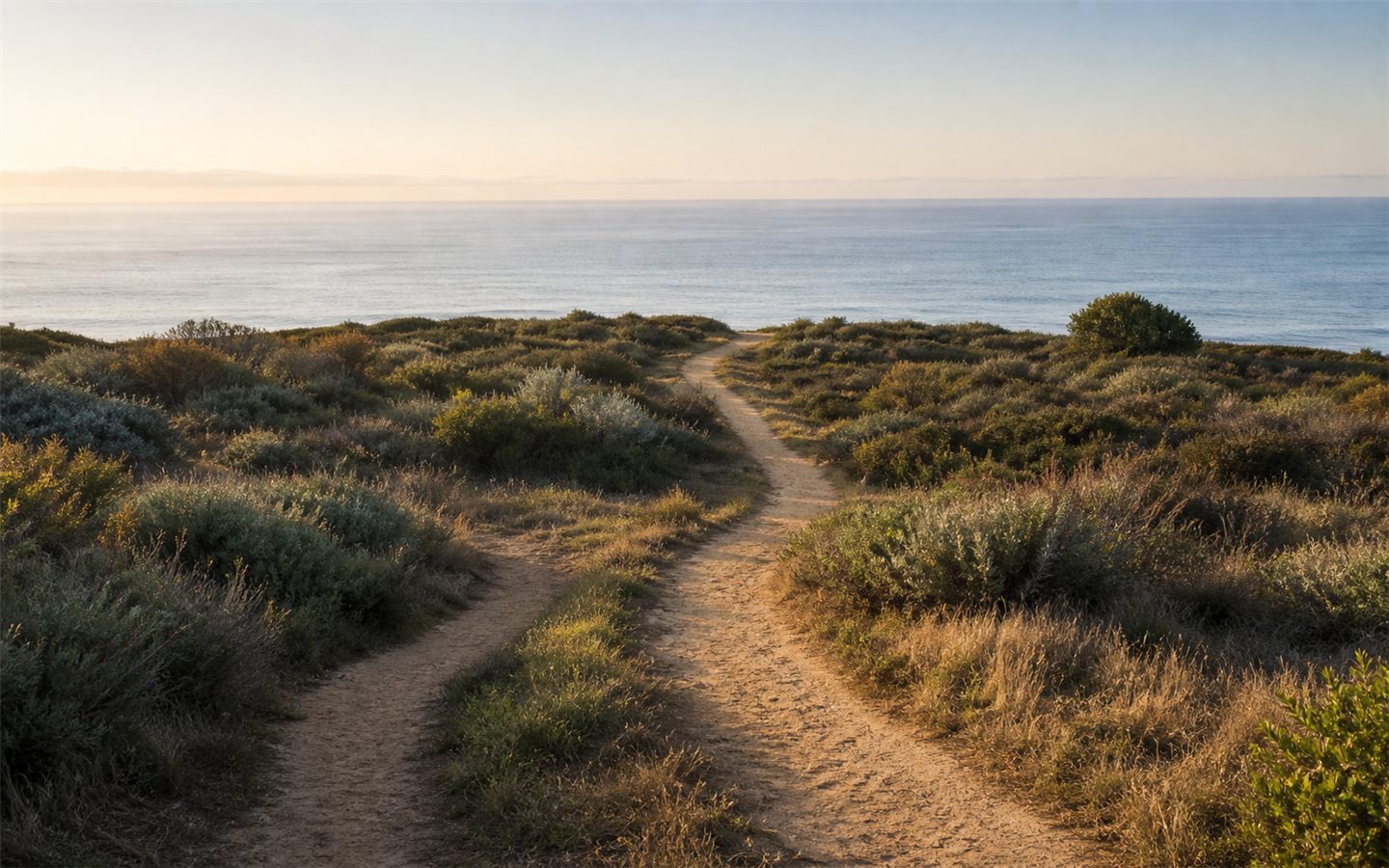 Two intertwined coastal paths converging toward the ocean horizon