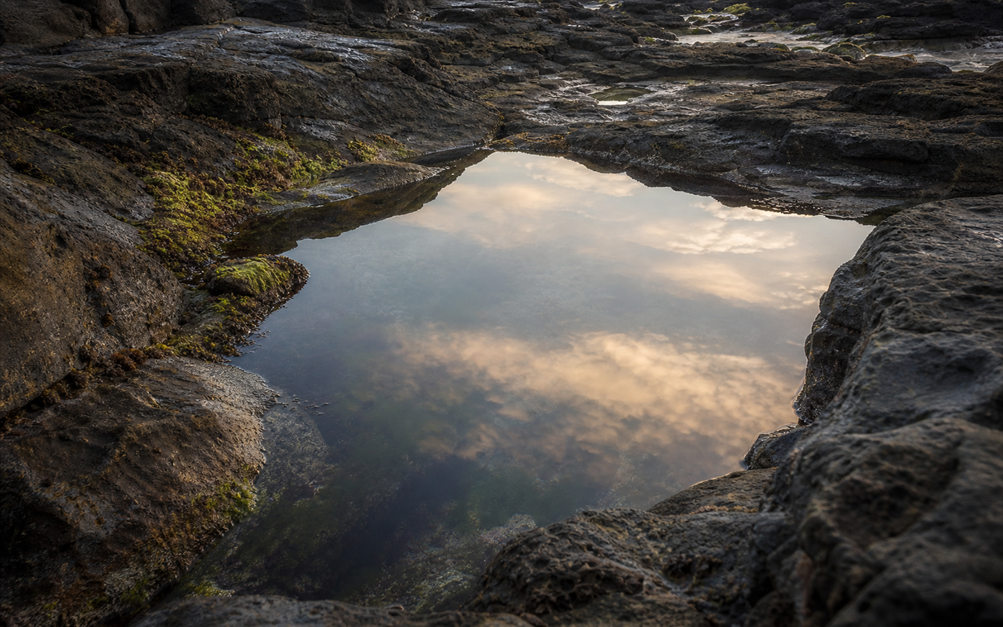 A still tide pool reflecting soft morning sky among coastal rocks