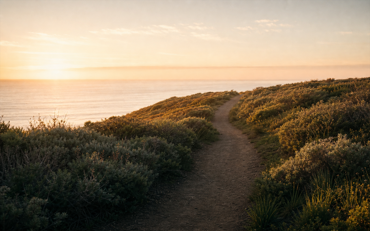 A sunrise path climbing from shadow into warm coastal light