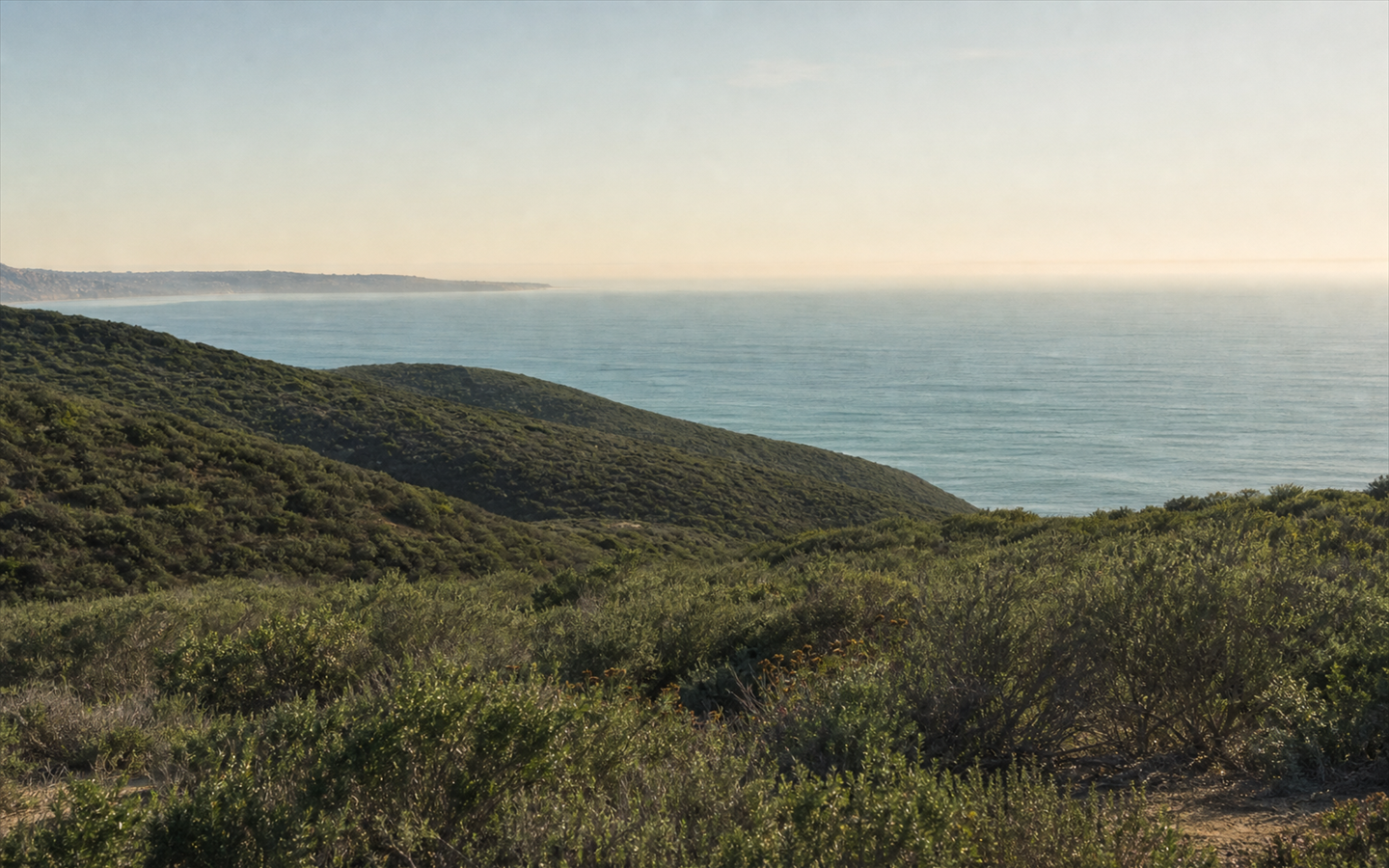 Clear coastal air over low sage hills meeting the Pacific