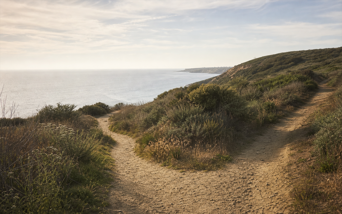 A quiet fork in a coastal path with one trail leading toward open water