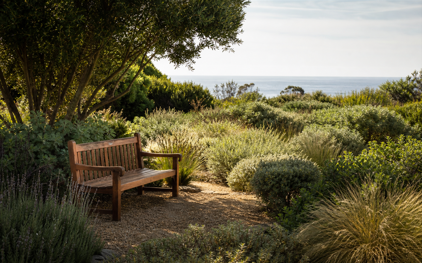 A peaceful garden bench surrounded by sage planting and ocean air
