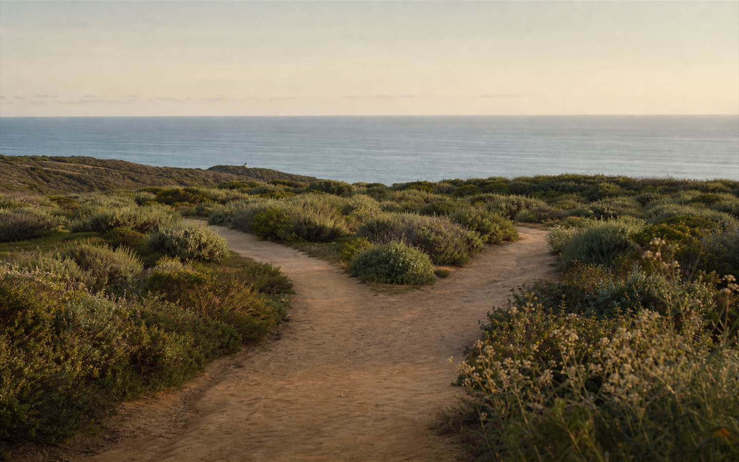 A wide coastal path branching gently through sage scrub toward the Pacific